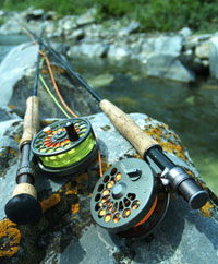 Fly Rods